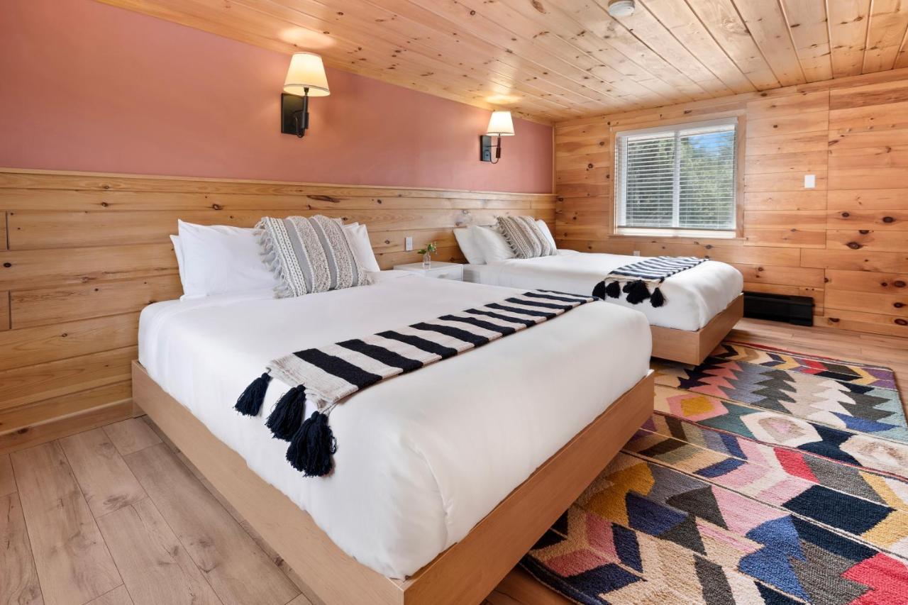 Wolfjaw Lodge Wilmington Exteriér fotografie